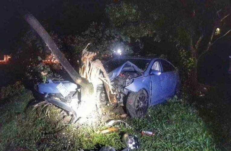 Un vehículo impacto contra un árbol en la carretera Panamericana.